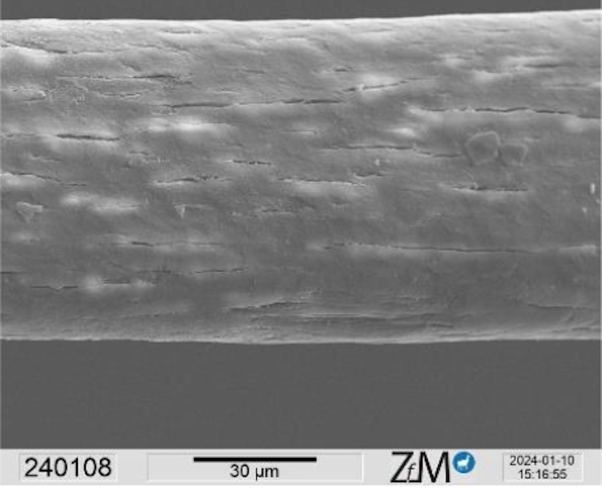 Bond Repair – kann man geschädigte Haare reparieren?