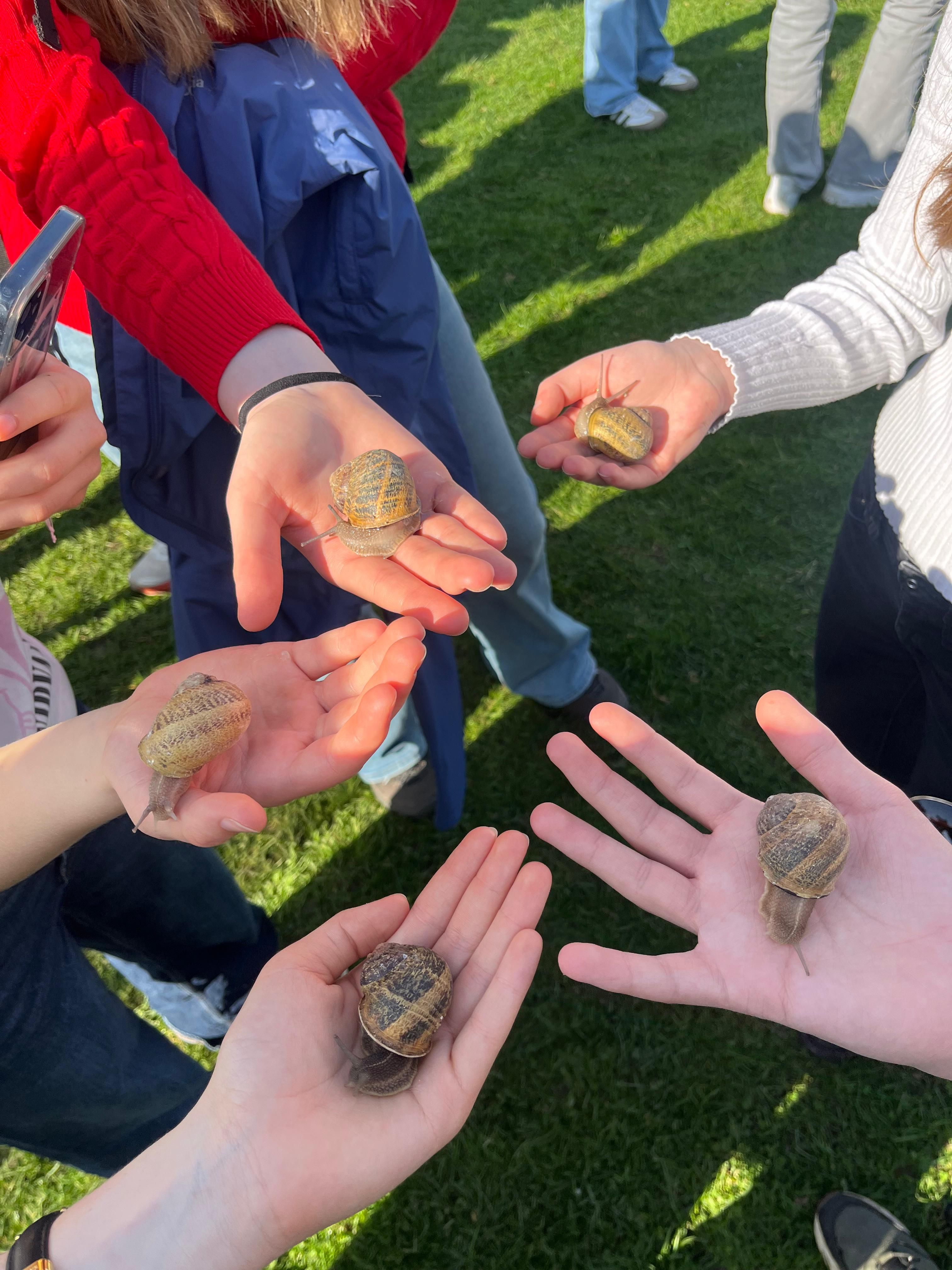 Am besten kann man vor Ort lernen