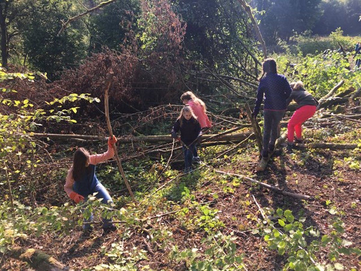 WvO hilft beim Aufforsten im Manderbacher Wald