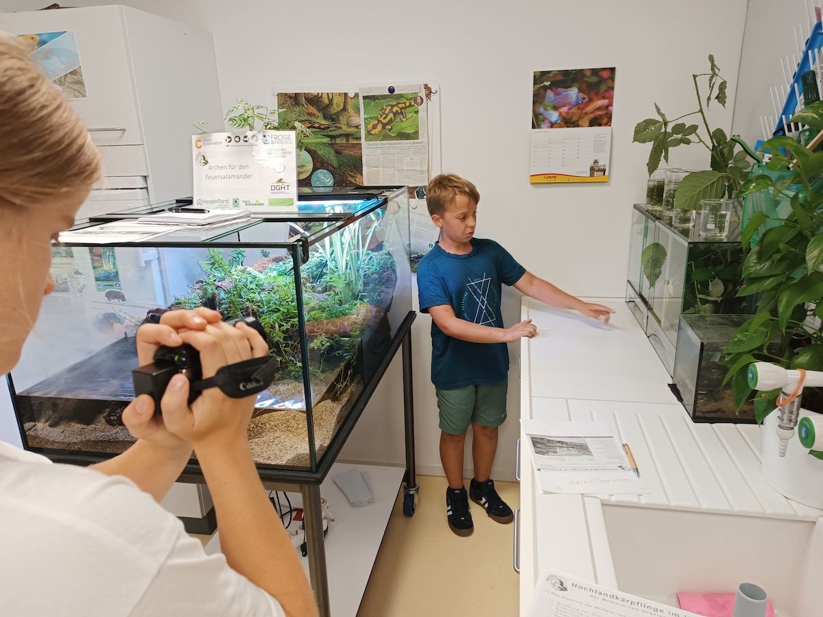 Die Vivarium AG präsentiert das Hochlandkärpflinge-Erhaltungszuchtprojekt