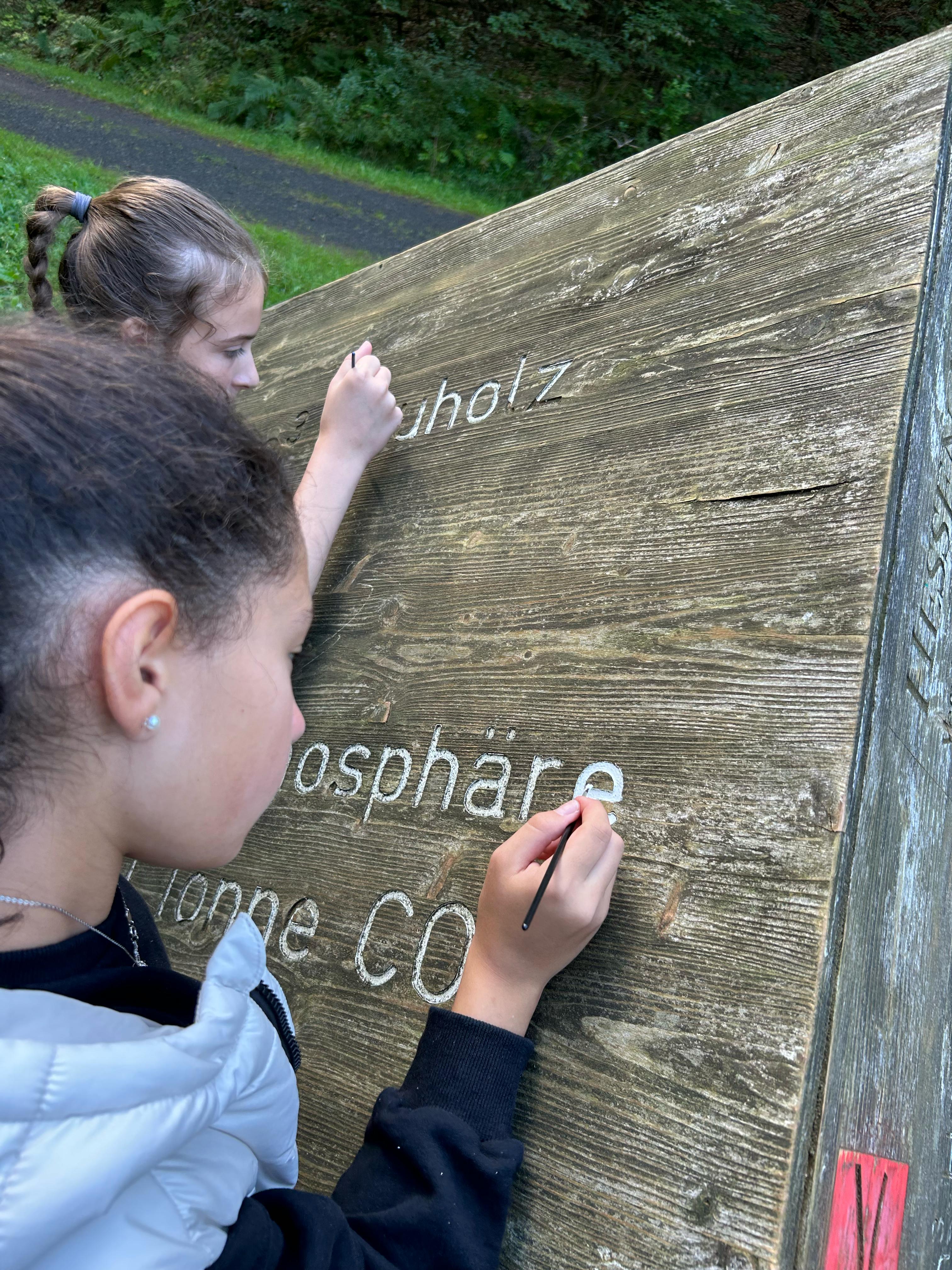 Kooperation zur Pflege des CO2-Lehrpfads am Rothaarsteig gestartet