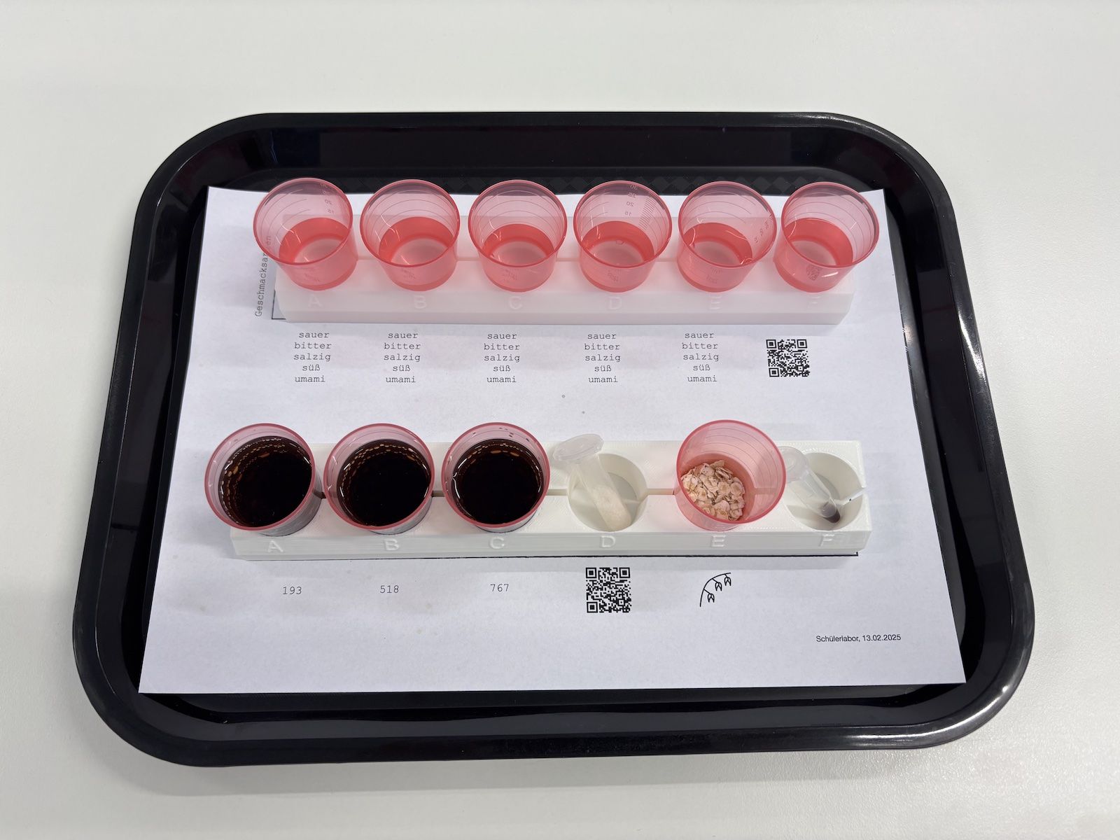 Einblick in die Lebensmittelchemie – Exkursion zur Justus-Liebig-Universität