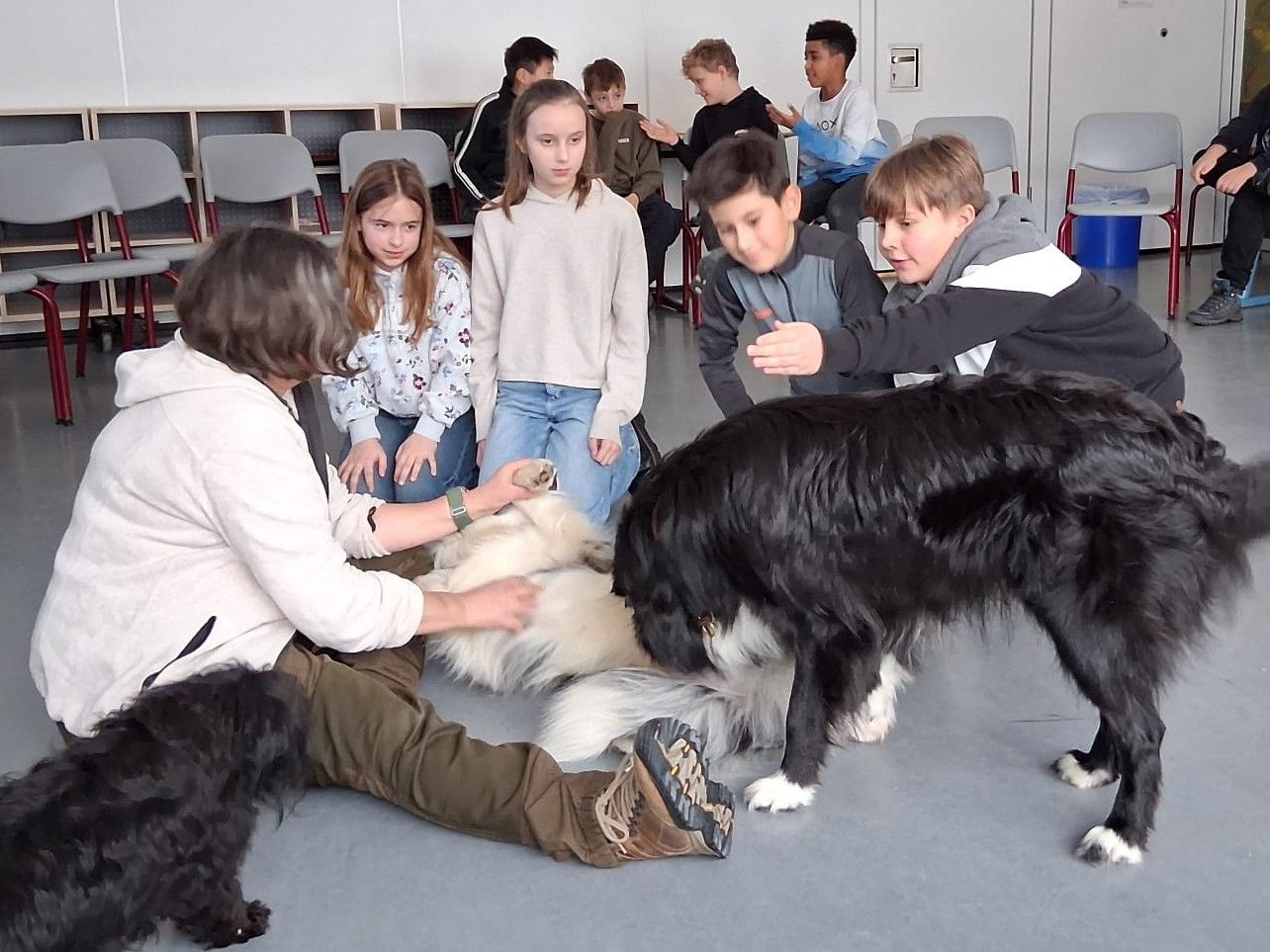 Fünftklässler erleben und verstehen Hundeverhalten hautnah