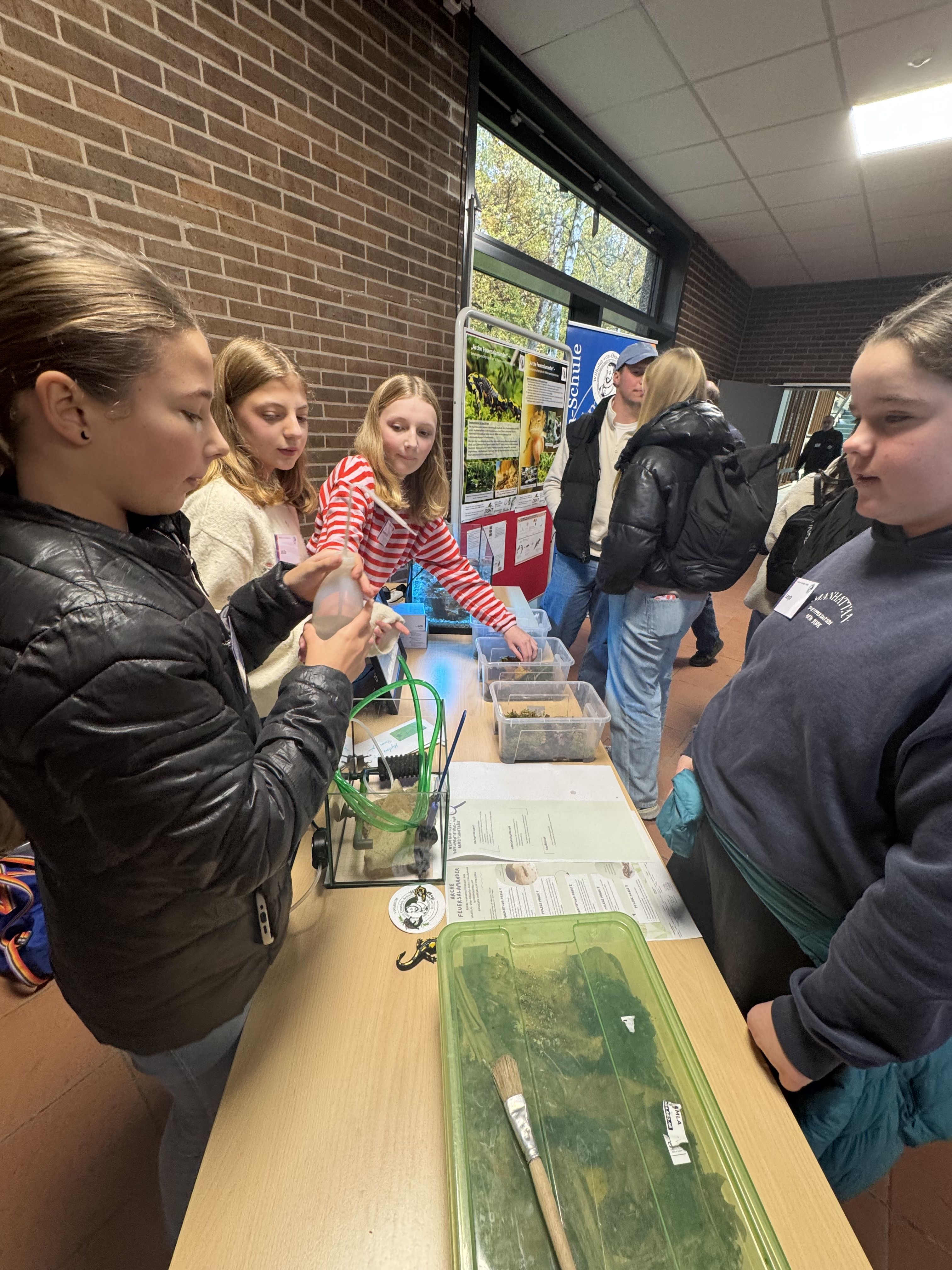 Gemeinsam für den Feuersalamander