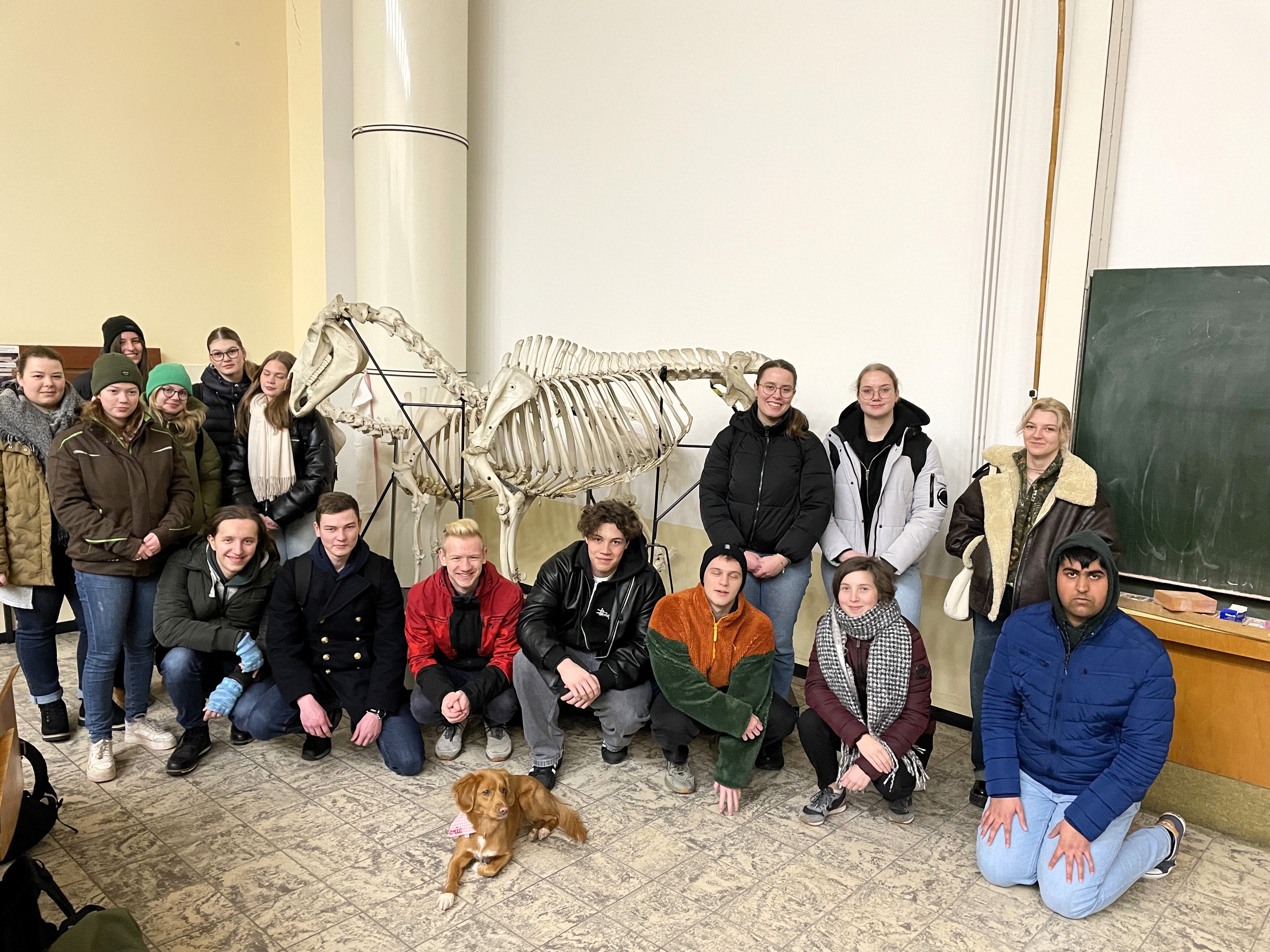 Exkursion des Leistungskurses Biologie Q3 zur Veterinärmedizin Gießen