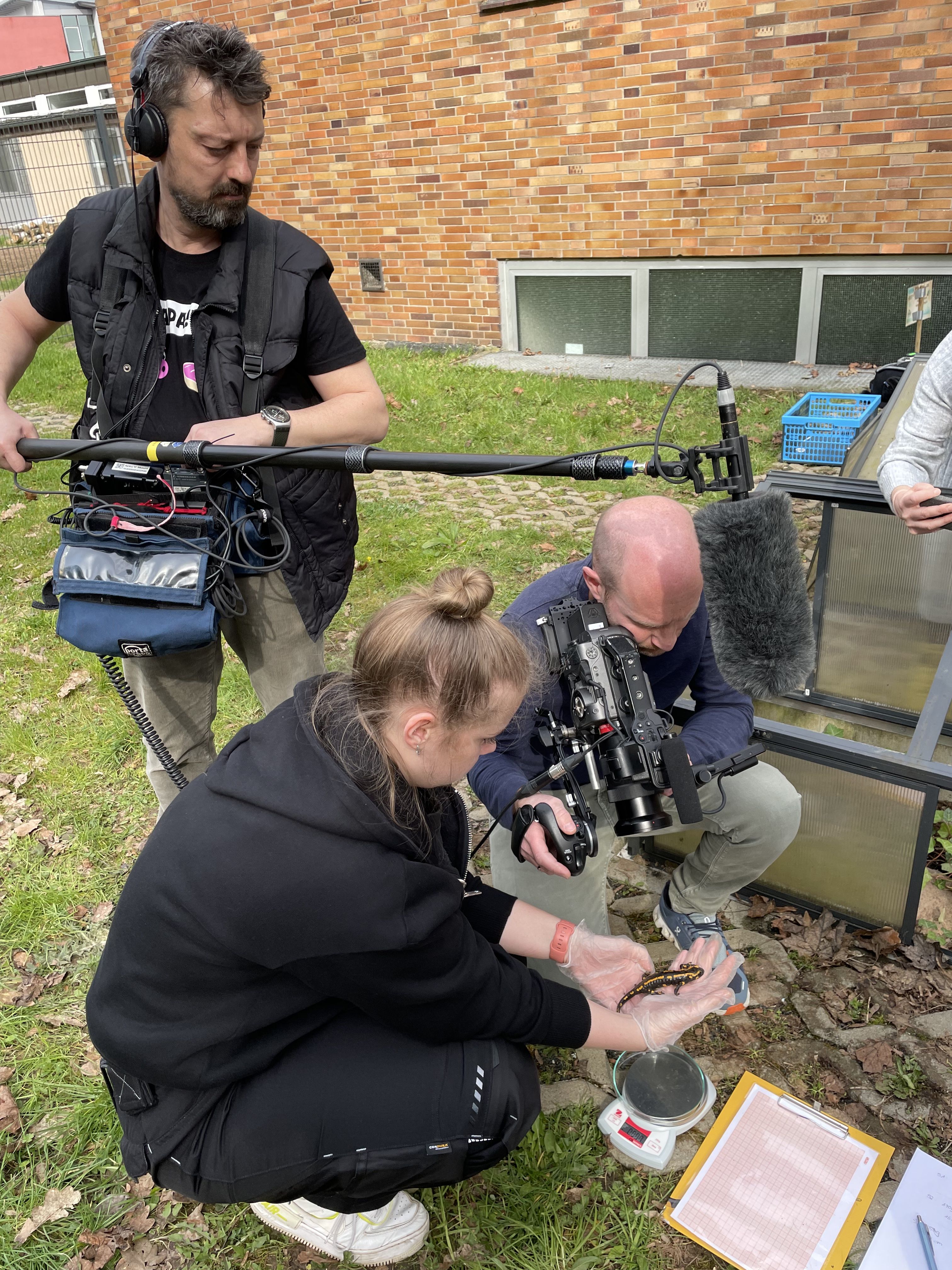 HR berichtet über die „WvO-Salamander“