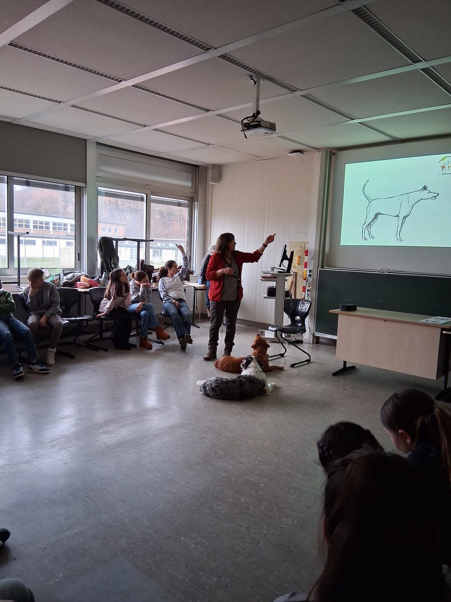 Ich sehe, was du sagst – Fünftklässler erleben und verstehen Hundeverhalten hautnah